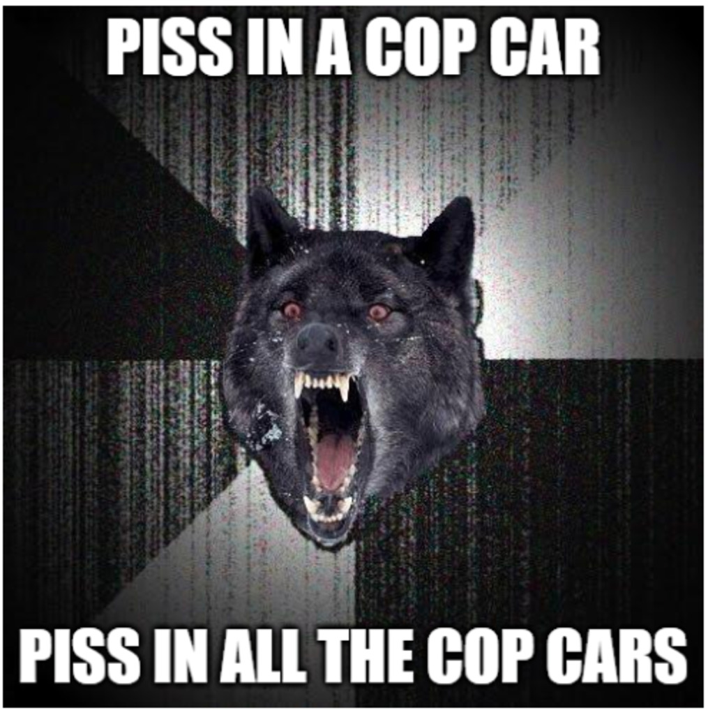 Insanity wolf meme saying Piss in a cop car, Pissin all the cop cars