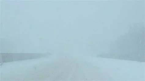 A total whiteout blizzard in canada