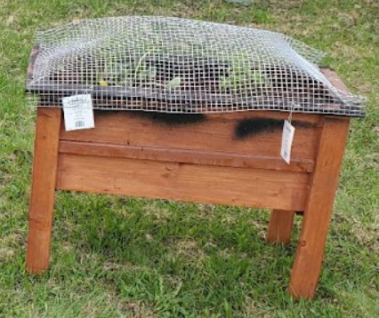 A planter with a full wire mesh