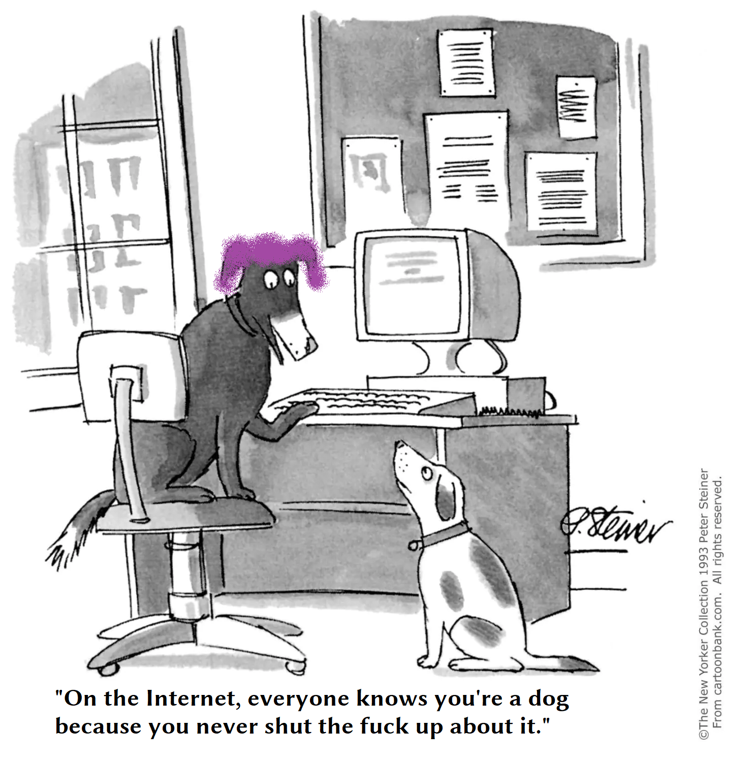 The famous "On the Internet nobody knows you're a dog" comic from 1993 with the dog's hair painted purple and it now says "On the Internet everyone knows you're a dog because you never shut the fuck up about it"