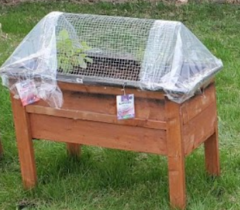 A planter with a bit of wire mesh and some plastic taped over the sides